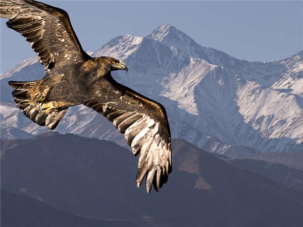 Walking in Kyrgyzstan holiday