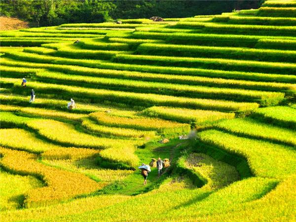 Vietnam walking holiday, one foot in Vietnam