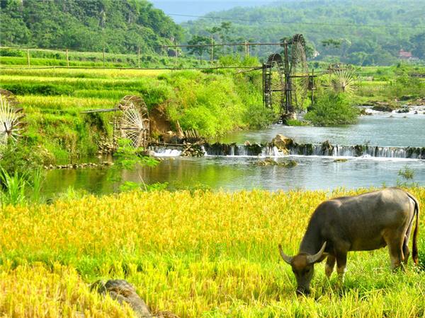 Vietnam walking holiday, one foot in Vietnam