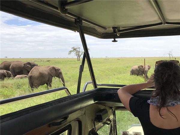 Tanzania wildlife holiday, Serengeti safari
