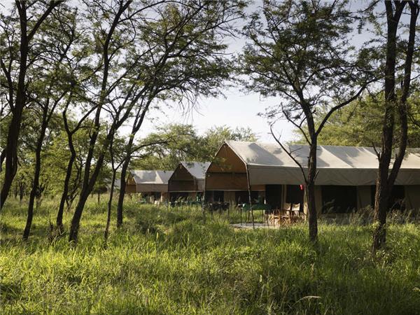 Tanzania wildlife holiday, Serengeti safari