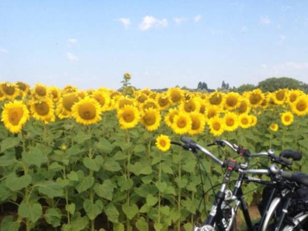Loire Valley by bike holiday