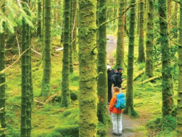 Ring of Kerry walking holiday in Ireland