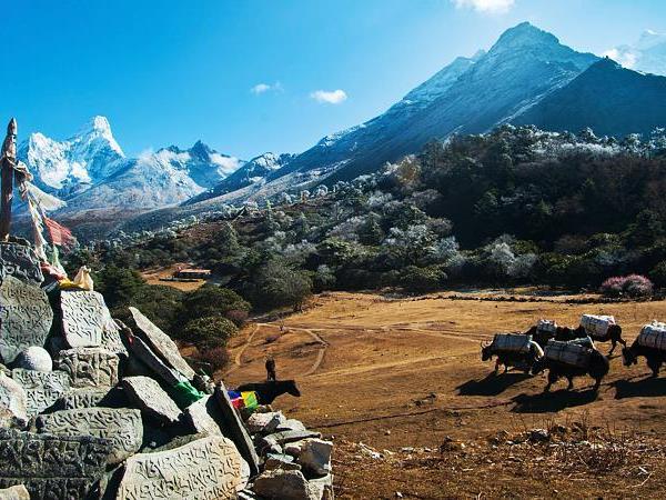 Everest luxury trekking tour