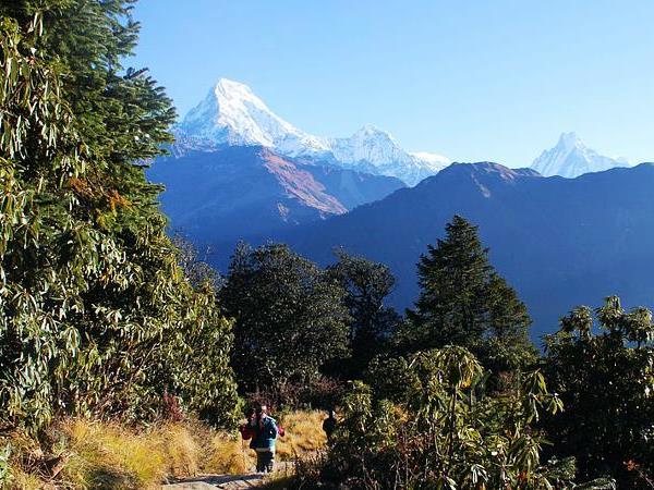 Langtang and Tamang Heritage trek in Nepal