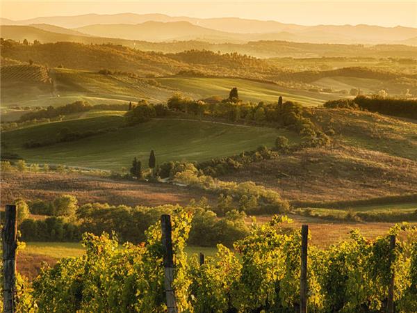 Tuscany food tour