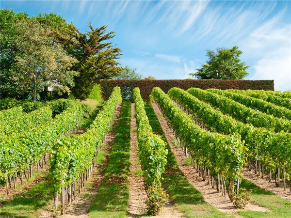 France cycling holiday, Loire Valley