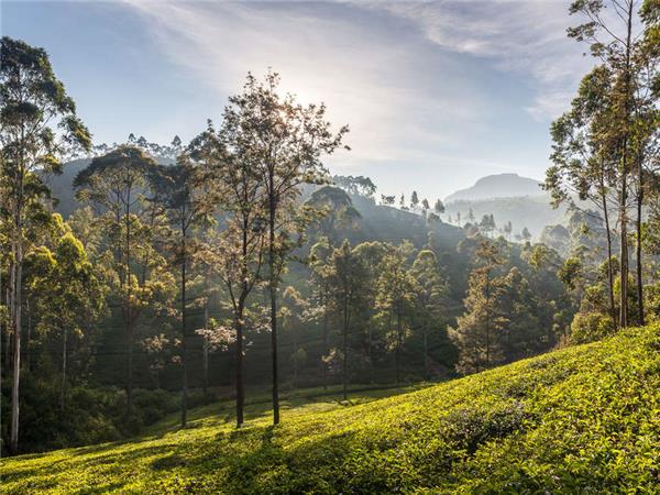 Walking in Sri Lanka holiday