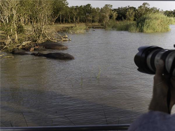 Kruger, Swaziland and South Africa's Garden route holiday