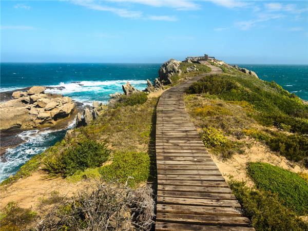 Kruger, Swaziland and South Africa's Garden route holiday