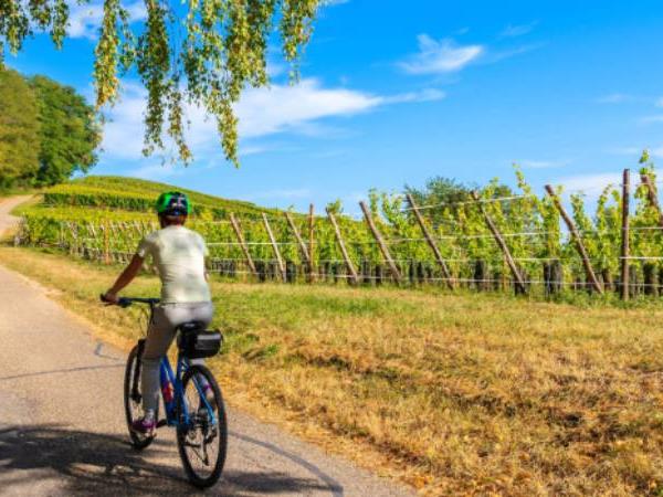 Alsace cycling holiday in France