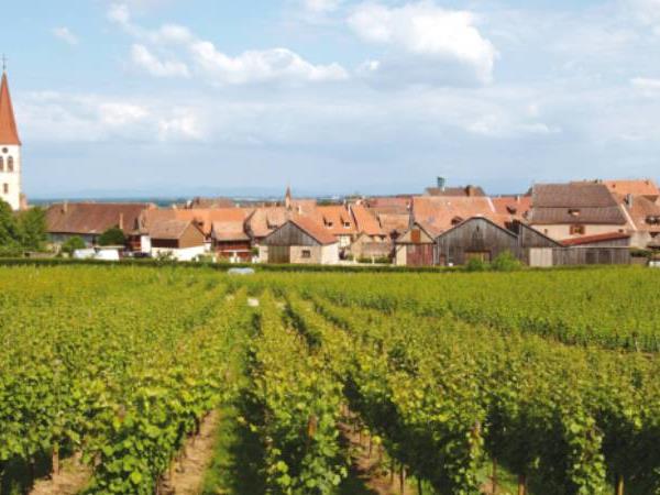 Alsace cycling holiday in France