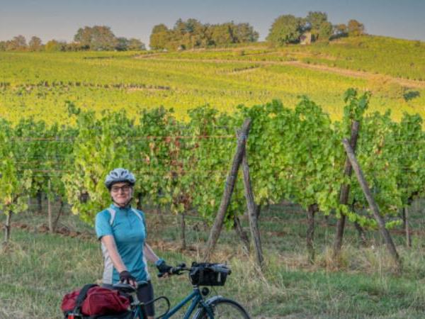 Alsace cycling holiday in France