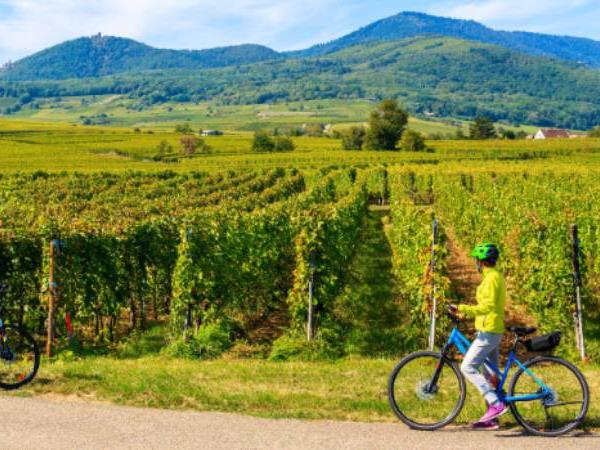 Alsace cycling holiday in France
