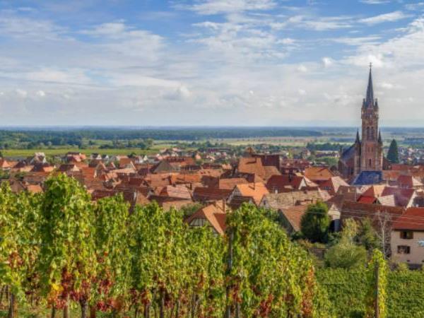 Alsace cycling holiday in France