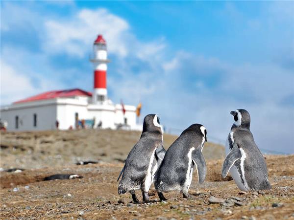 Atacama to Paine holiday
