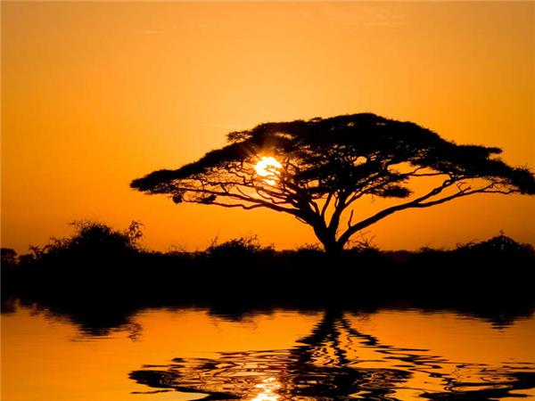 Highlights of Kenya & Tsavo with added comfort