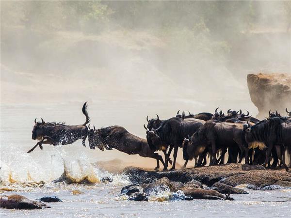 Highlights of Kenya & Tsavo with added comfort