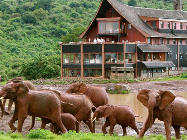Highlights of Kenya & Tsavo with added comfort