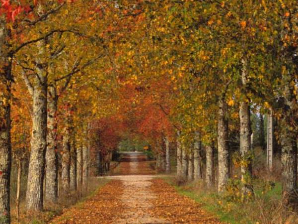 The Portuguese Way walking holiday