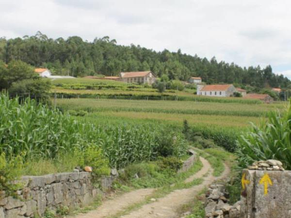 The Portuguese Way walking holiday
