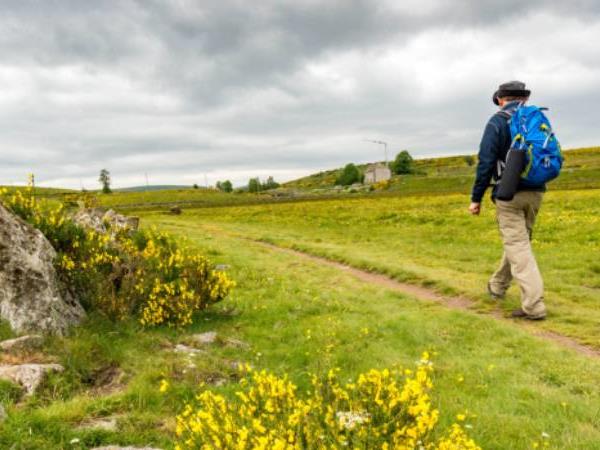 The Way of St James walking holiday in France