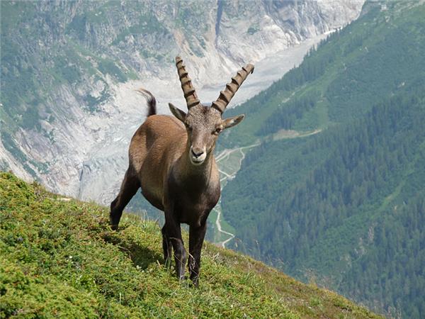 Mont Blanc holiday, Tour du Mont Blanc