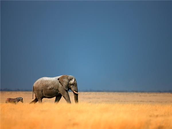 Premium Namibia small group holiday