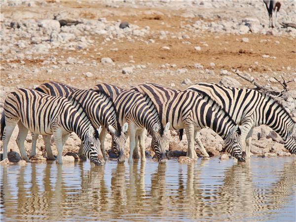 Premium Namibia small group holiday