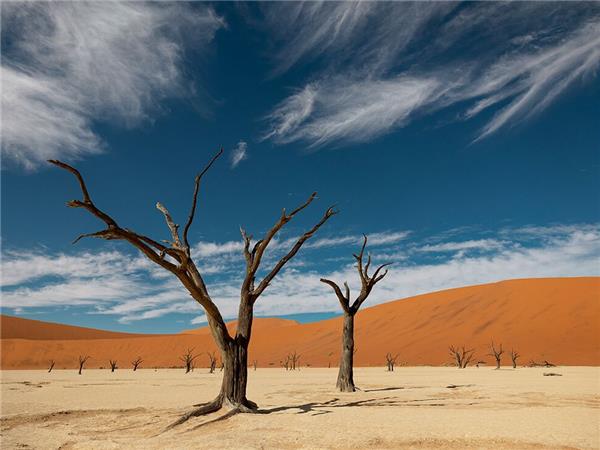 Premium Namibia small group holiday