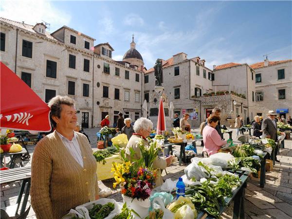 Split to Dubrovnik small group tour