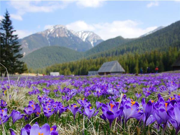 Central Europe small group tour