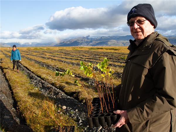 Iceland small group tours with added comfort