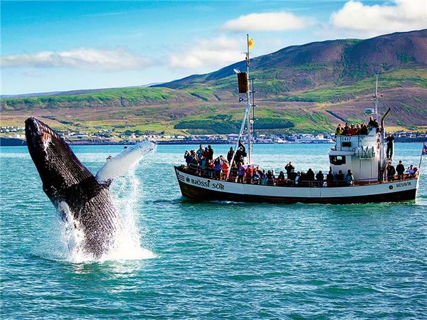 Iceland small group tours with added comfort