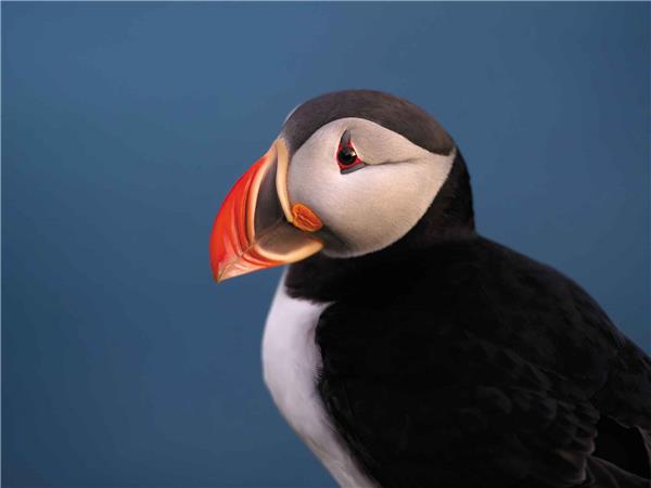 Iceland small group tours with added comfort