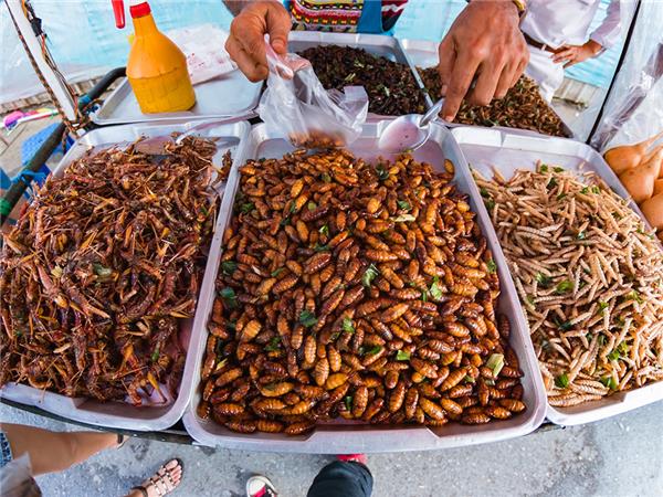 North Thailand group holiday, a food adventure