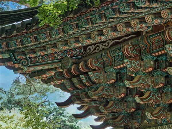 Discover South Korea small group holiday