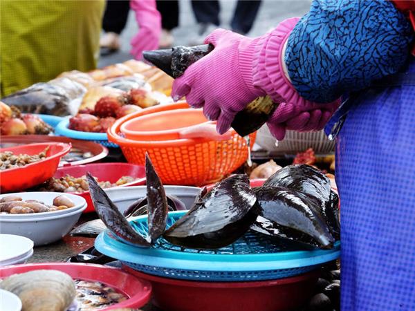 Discover South Korea small group holiday