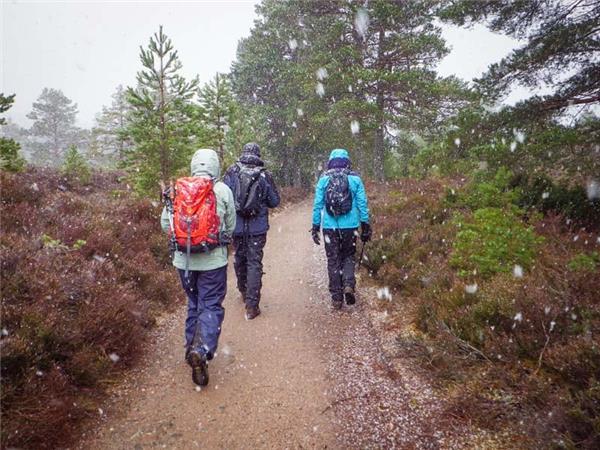 Cairngorms wildlife winter adventure