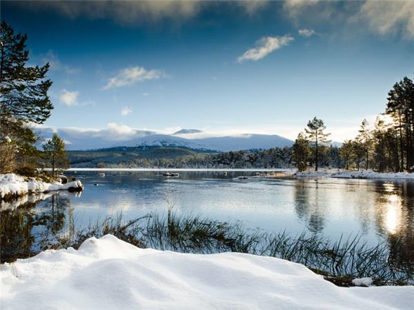 Cairngorms wildlife winter adventure