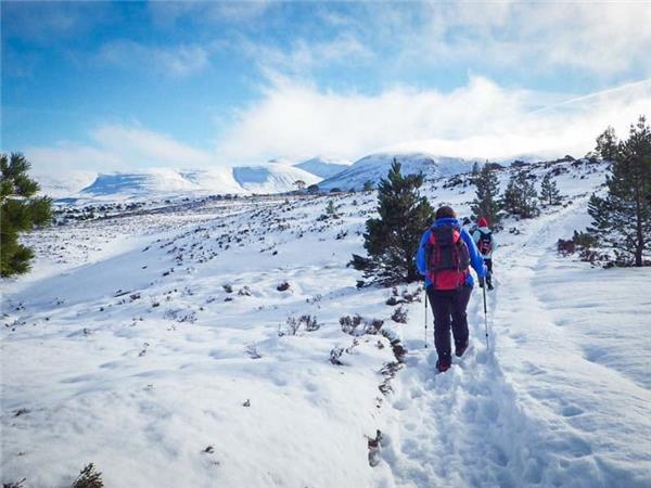 Cairngorms wildlife winter adventure