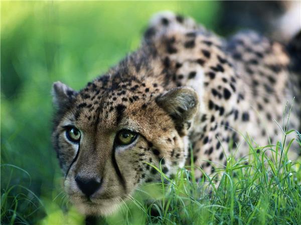 Kenya to Zimbabwe overland tour, 3 weeks