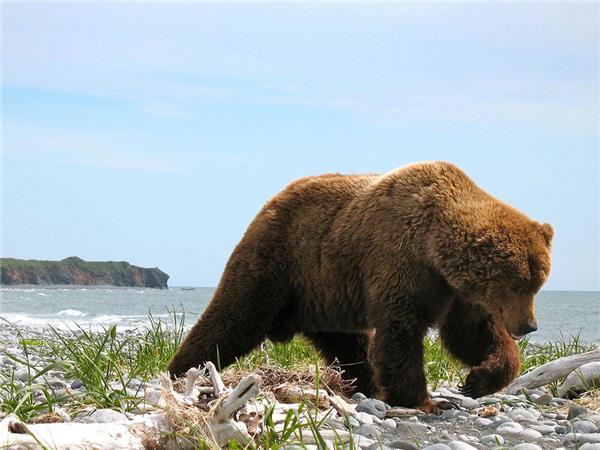 Alaska Hike, Bike & Kayak holiday