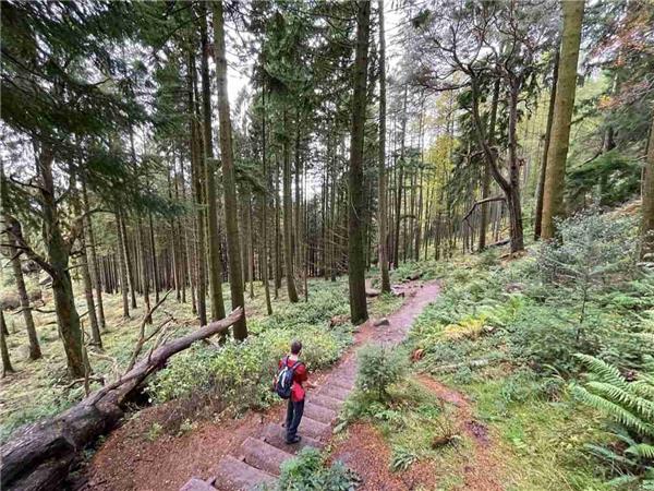 10 day West Highland Way walking holiday