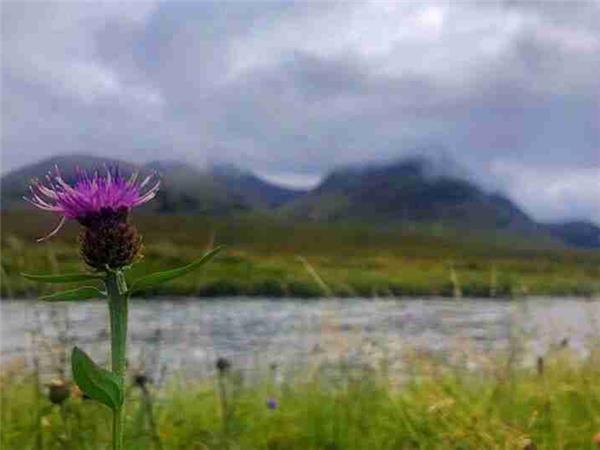 West Highland way walking holiday, 8 days