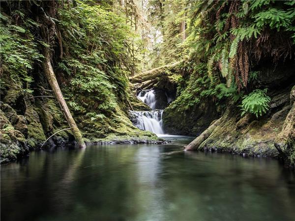 Pacific Northwest small group holiday