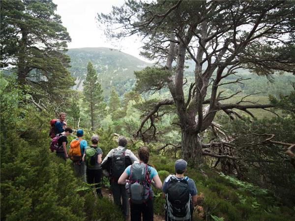 National parks of the UK walking holiday