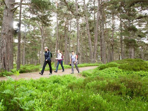 National parks of the UK walking holiday