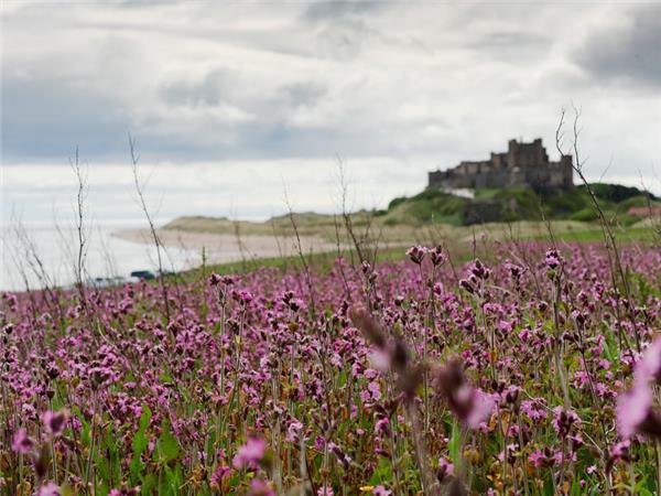 Northumberland and Lake District walking holiday