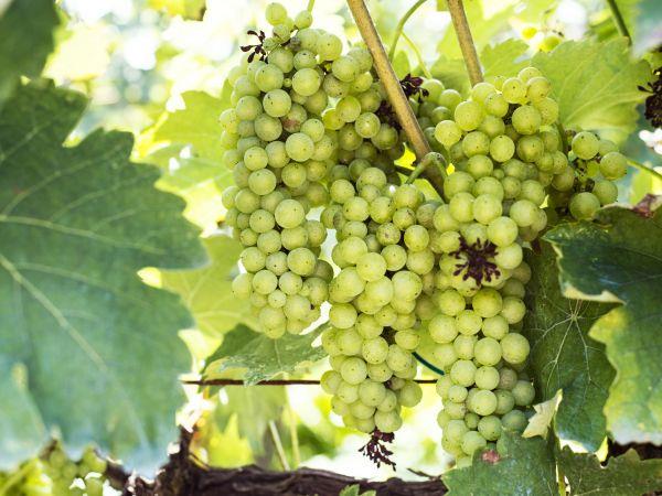 Albania small group holiday